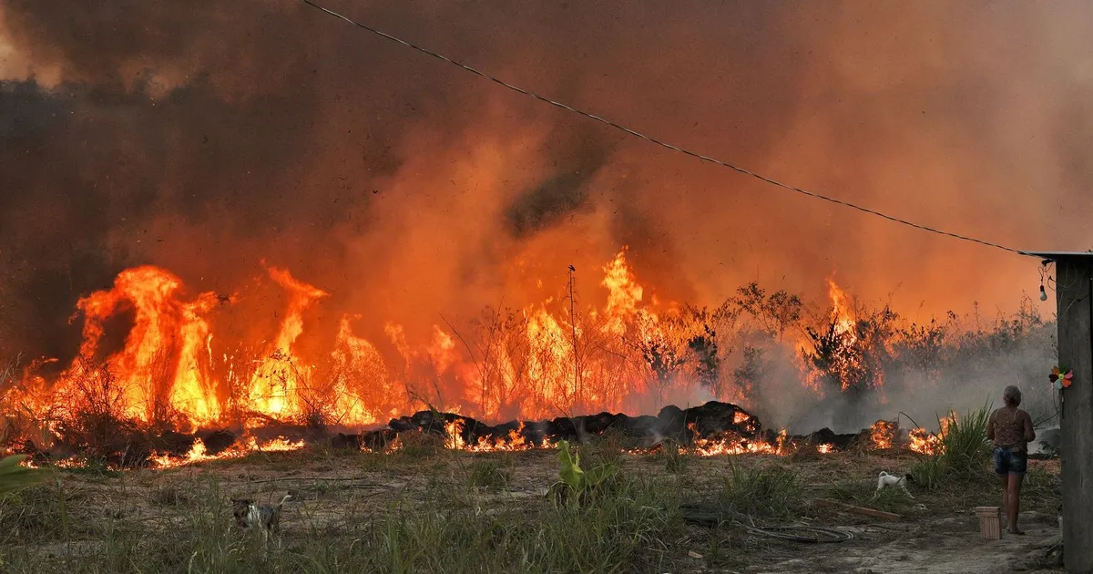 ظاهرة جديدة تعيد تشكيل سلوك الحرائق.. النيران لم تعد تهدأ ليلاً
