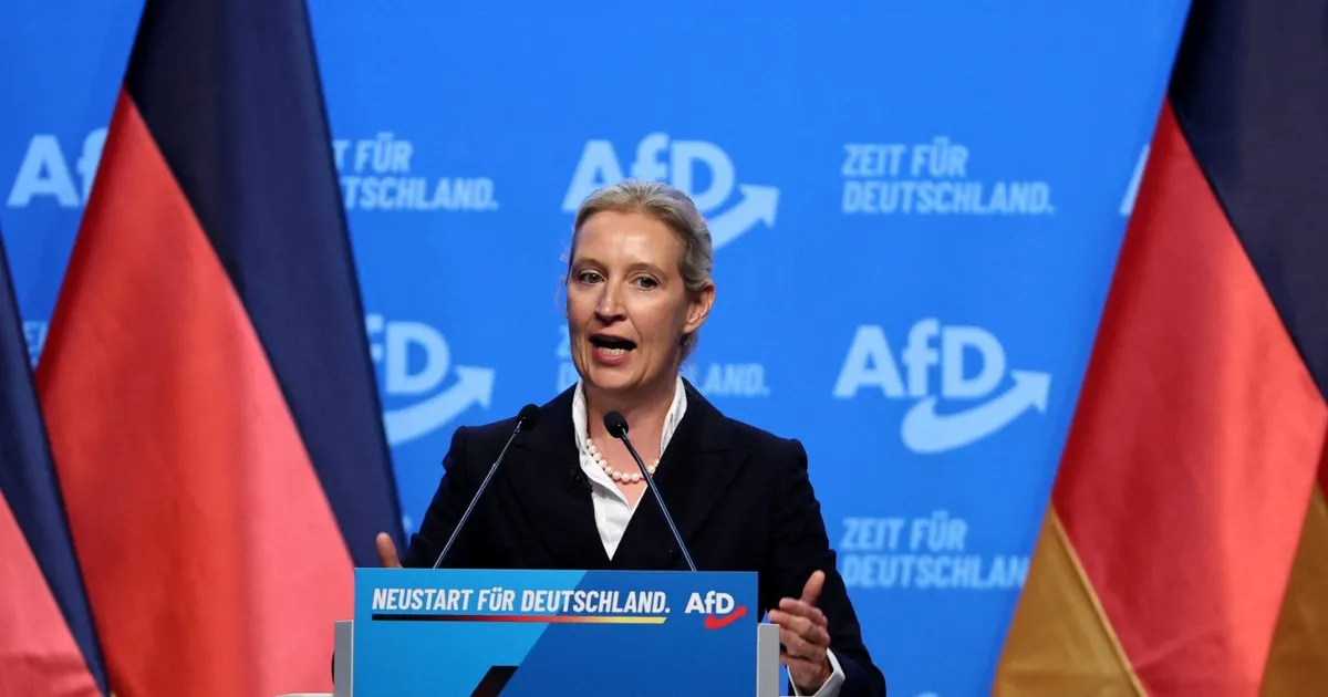 "البديل من أجل ألمانيا".. انتخابات داخلية لإخفاء الانقسام