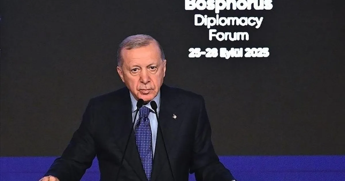 أردوغان: الاعتراف بدولة فلسطين خطوة مهمة تتطلب وقف انتهاكات إسرائيل