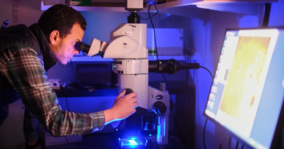 بينهم مصري.. فريق بحثي يقدم أملاً لعلاج الخرف واضطرابات تدفق الدم في الدماغ