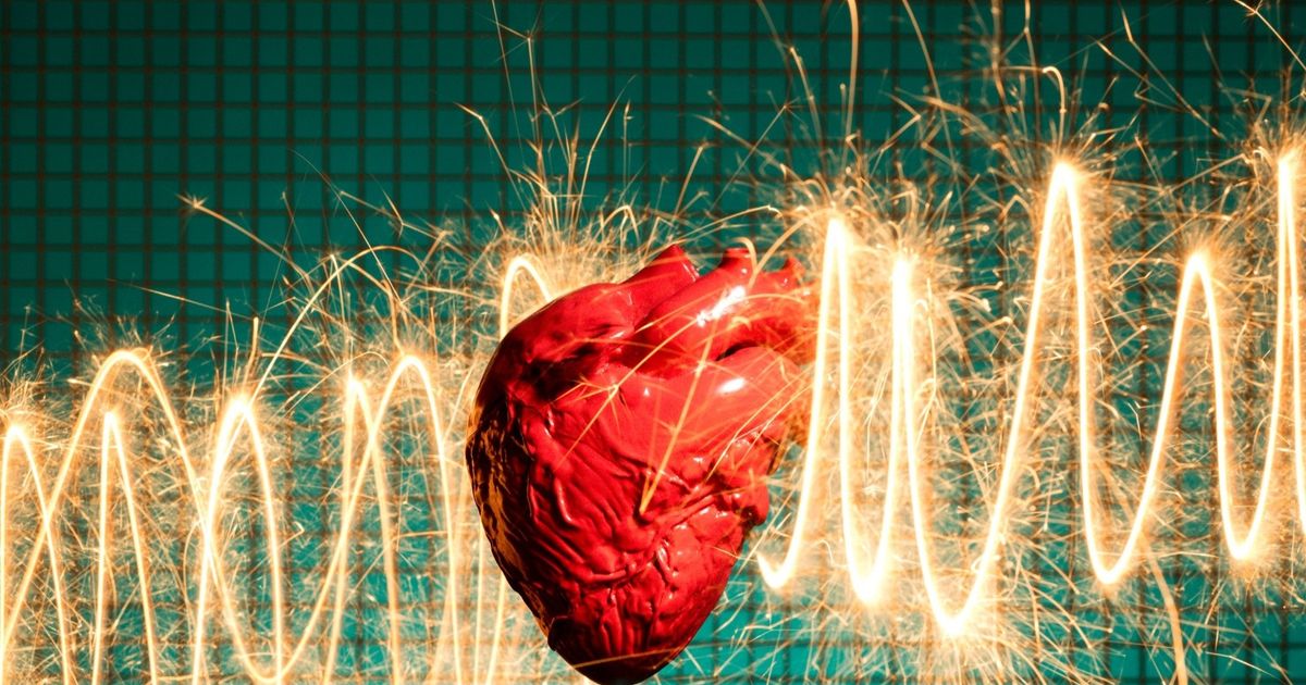 اكتشاف آلية لإنتاج الطاقة في الجسم تمهد لعلاج قصور القلب والنوبات