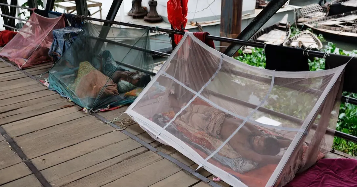 دراسة تتوصل لسر مقاومة بعوض الملاريا المبيدات الحشرية