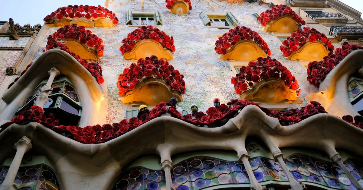 "الورد الدمشقي" في كتالونيا.. أسطورة ترتبط بالحب والكتاب