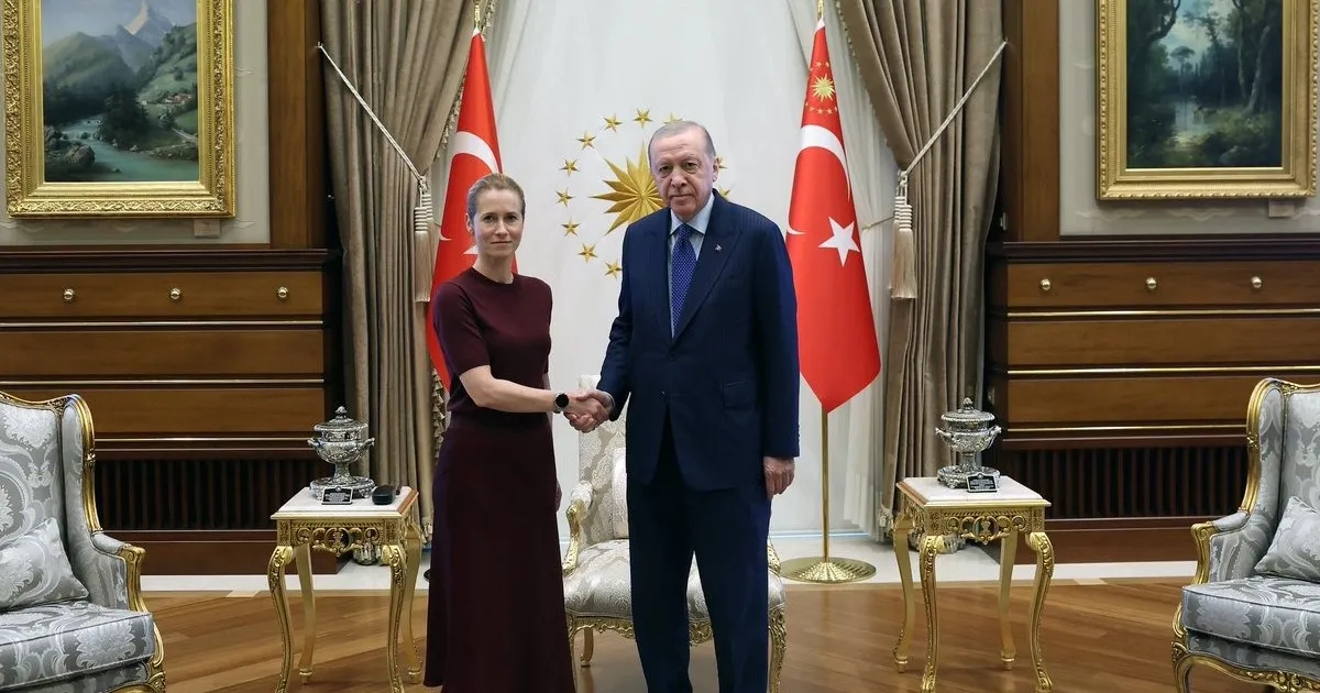 أردوغان وكالاس يبحثان تعزيز العلاقات التركية الأوروبية وقضايا الأمن