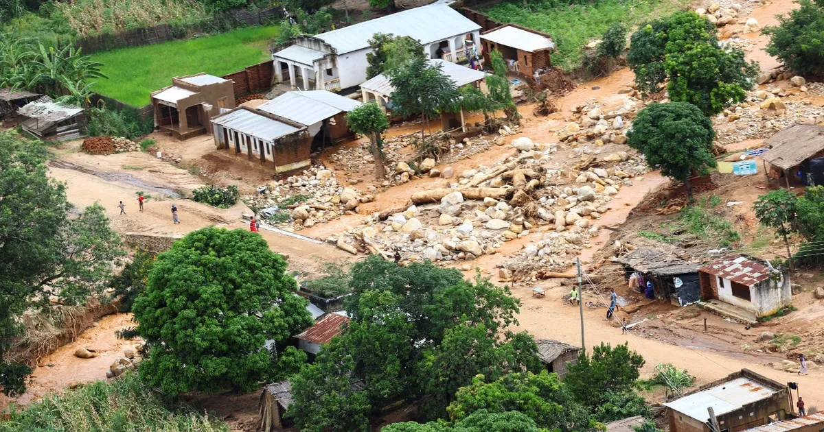 نعش بلا جثمان.. جنازة وهمية لتهريب الفحم النباتي في مالاوي