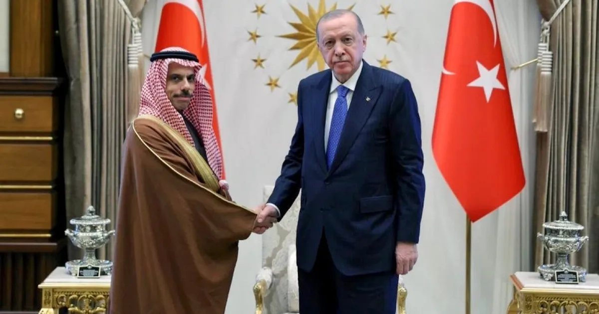 أردوغان وفيصل بن فرحان يبحثان تعزيز التعاون بين تركيا والسعودية