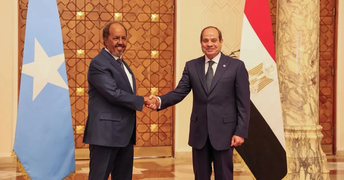 السيسي: أمن البحر الأحمر مسؤولية الدول المشاطئة وندعم وحدة الصومال