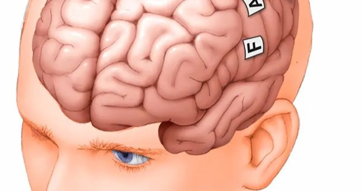 علماء كنديون يتوصلون إلى آلية لإبطاء نمو سرطان الدماغ.. وعقار قد يوقفها