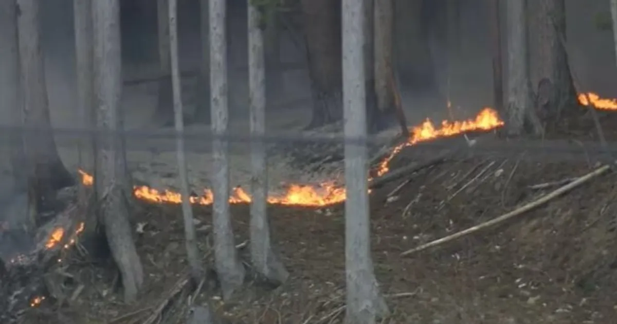 إجلاء أكثر من 3000 بسبب حريقي غابات في شمال اليابان