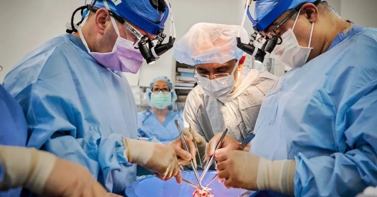 دراسة: الجراحة أفضل من المناظير عند استبدال صمامات القلب الصناعية