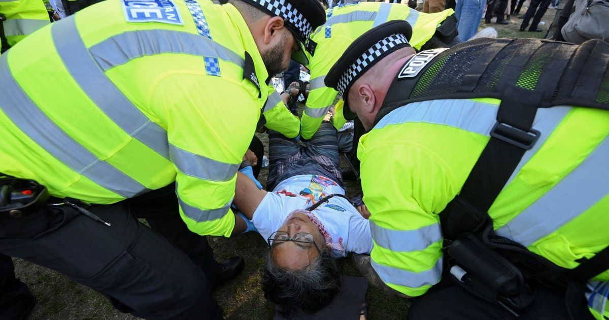 Britain Arrests Hundreds at Palestine Action Protest - News Directory 3
