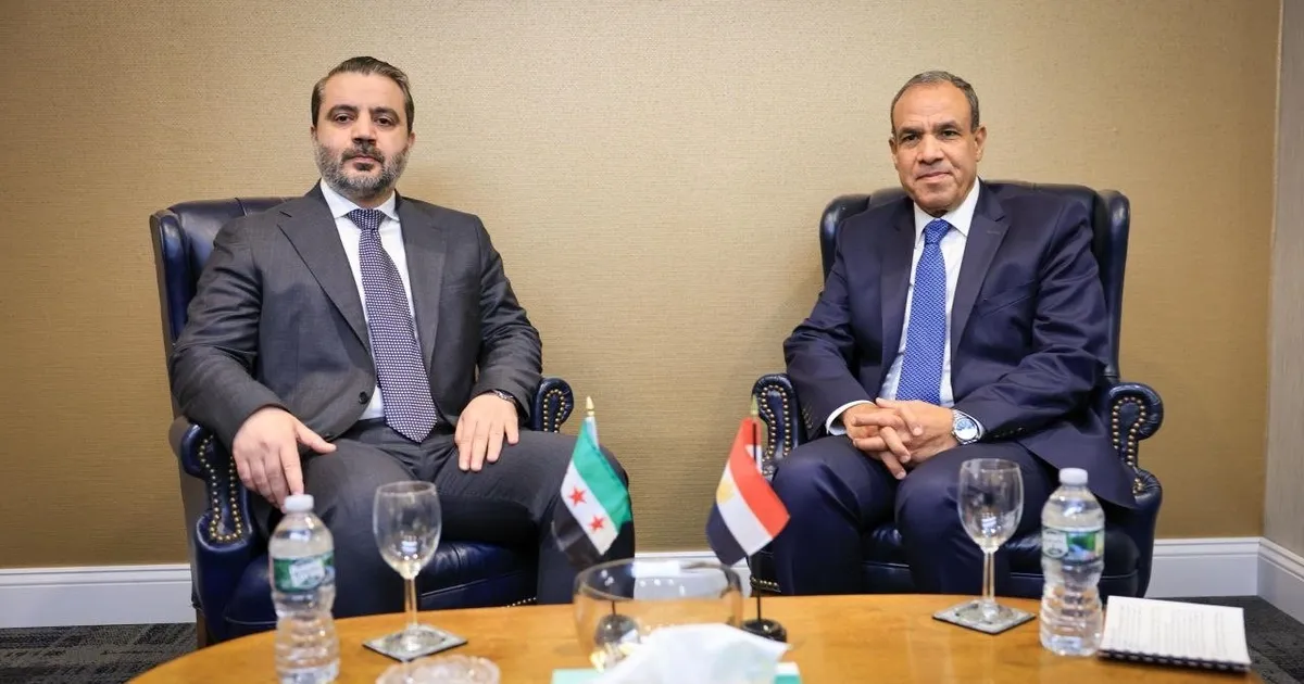 الشيباني في مصر... أول زيارة تكسر الجليد بين دمشق والقاهرة