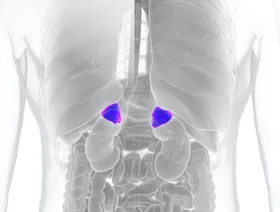 "أكثر مما تراه العين".. تعقيد غير متوقع في أورام الغدة الكظرية