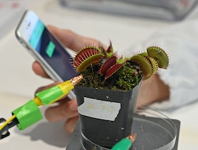  باحثون في سنغافورة يعملون على التواصل مع النباتات عن بُعد