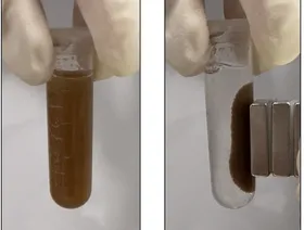 طريقة جديدة للكشف عن أمراض الجهاز الهضمي باستخدام "حبوب بكتيريا"