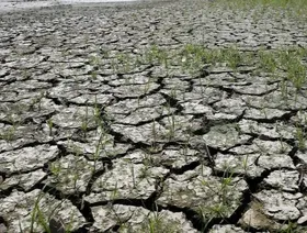 دراسة: صيف 2023 الأكثر سخونة منذ 2000 عام