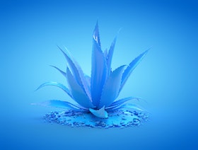 نصائح لاستخدام الصبار بشكل آمن لعلاج الأمراض الجلدية