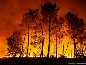 جفاف وحرائق غابات وعطش.. حرارة الصيف تلهب أوروبا