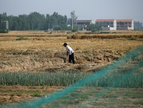 ارتفاع الحرارة يفاقم مشاكل الجفاف في شمال الصين