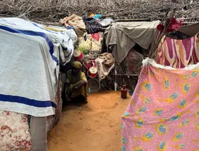 السودان.. ماذا يحدث في الفاشر؟