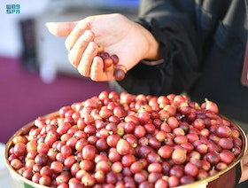 صندوق الاستثمارات السعودي يُعلن إطلاق شركة متخصصة في القهوة
