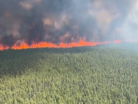 حرائق غابات كندا.. أسبابها وآثارها على البيئة 