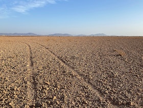 رغم أزمة الجفاف..المغرب يدعم سلاسل الإنتاج الزراعي