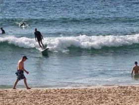 أستراليا.. موجة حارة غير مسبوقة تؤجج حرائق الغابات