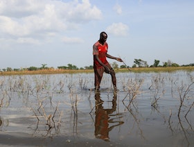 منظمة دولية: إفريقيا تحتاج 100 مليار دولار سنوياً للتكيف مع تغير المناخ