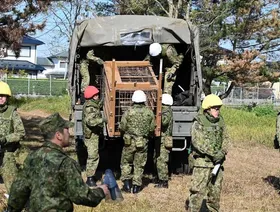 اليابان تنشر قوات من الجيش لمواجهة هجمات الدببة شمال البلاد