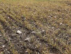 وسط نقص الأمطار وارتفاع الحرارة.. المغرب ينتظر موسماً جديداً من الجفاف