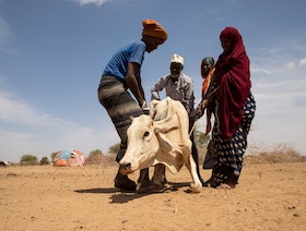 دراسة: تغير المناخ تسبب في جفاف منطقة القرن الإفريقي