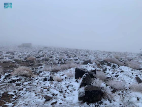 برودة غير مسبوقة.. عاصفة ثلجية تضرب السعودية ومصر وبلاد الشام