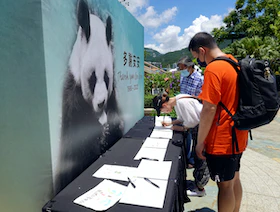 نفوق عميد حيوانات الباندا الموجودة في الأسر "آن آن" عن 35 عاماً