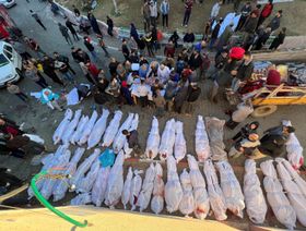 مع انعدام الخدمات وغياب أدوات الوقاية.. "تراكم الجثامين" في غزة يهدد بتفشي الأوبئة