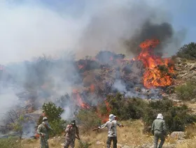 إيران.. حريق يهدد غابات عمرها 50 مليون سنة ومدرجة على قائمة اليونسكو