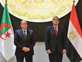 توافق مصري جزائري على أهمية استدامة وقف النار في غزة وحل الأزمة الليبية