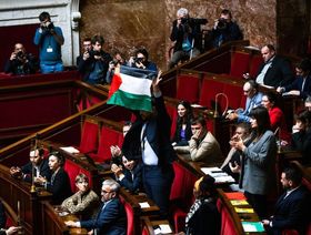 نواب يرفعون علم فلسطين خلال انعقاد البرلمان في فرنسا وإيطاليا
