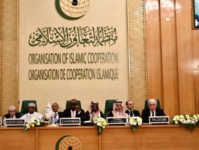 اجتماعات "التعاون الإسلامي".. تأكيد على ضرورة إنهاء معاناة الفلسطينيين