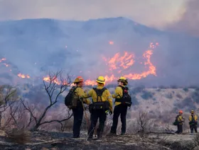 التعرض لدخان حرائق الغابات قد يقلل فرص نجاة مرضى سرطان الرئة