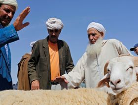 إلغاء شعيرة الأضحية في المغرب.. ترحيب شعبي رغم تأثيرات اقتصادية