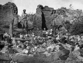 جرائم "الإبادة الجماعية".. ما أبرز القضايا التاريخية؟