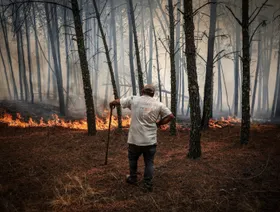 علماء: 2025 سيكون ثاني أو ثالث الأعوام الأعلى حرارة على الإطلاق