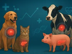 تحذير من زيادة إصابات الحيوانات بالسرطان والسكري والسمنة