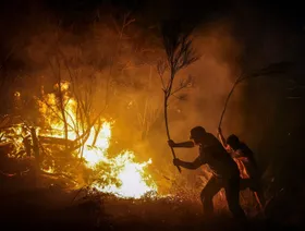 بعد ارتفاع الوفيات.. مؤسسات خيرية تخصص 300 مليون دولار لأبحاث المناخ