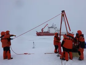 جرينلاند بين التهويل الأميركي والتموضع الصيني الهادئ