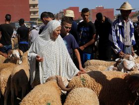 بسبب الجفاف وارتفاع الأسعار.. ملك المغرب يوصي بعدم ذبح أضاحي العيد