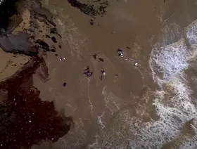 أستراليا.. سيول مفاجئة تجتاح ولاية فيكتوريا عقب حرائق غابات