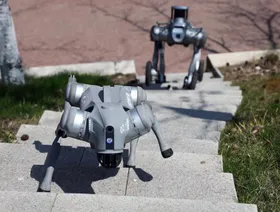 كيف يمكن للصين استخدام DeepSeek في زمن الحرب.. كلاب آلية ومسيّرات ذكية