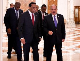 السيسي يستقبل كامل إدريس: ندعم وحدة السودان وسيادته